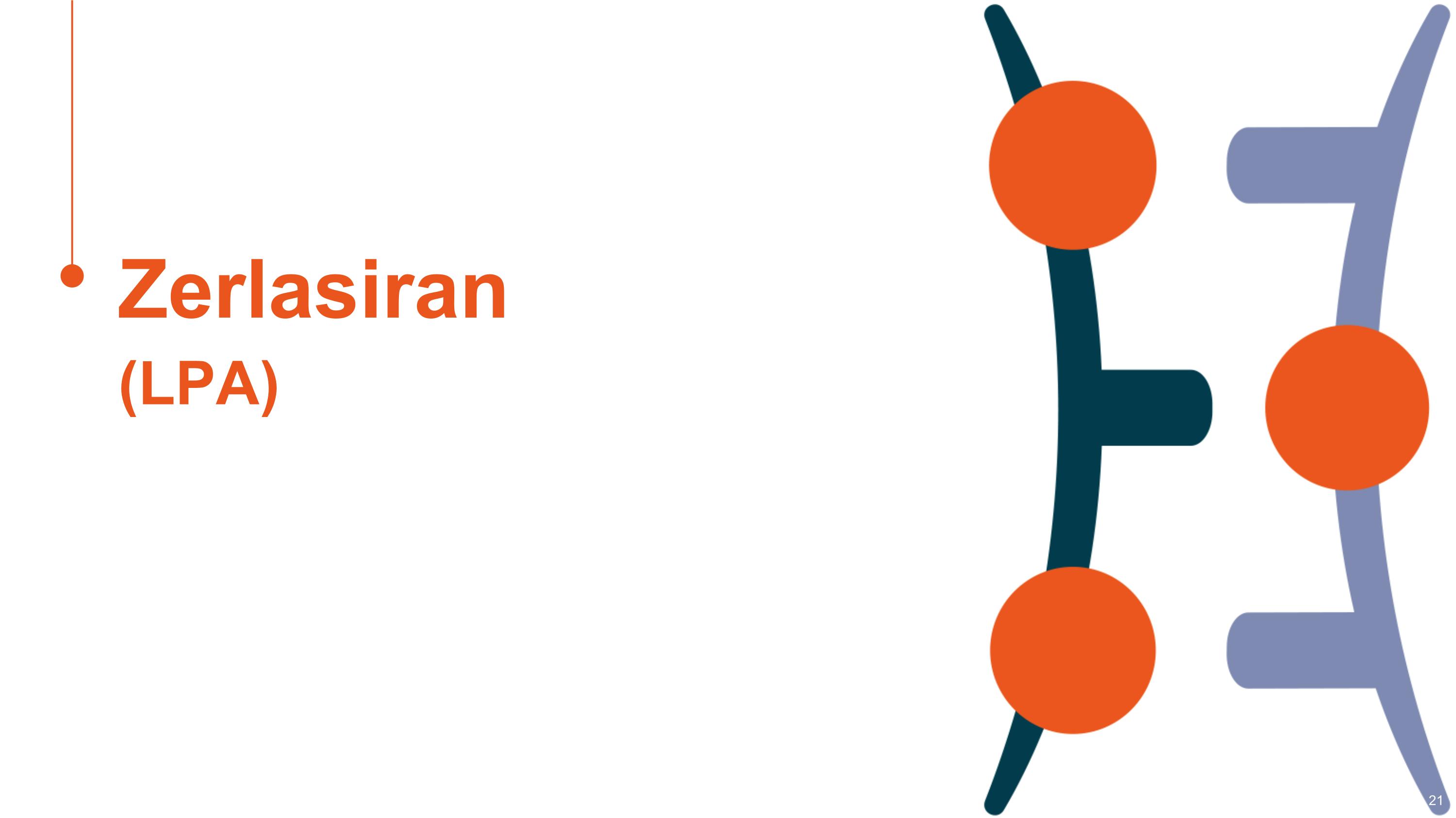 Slide 21