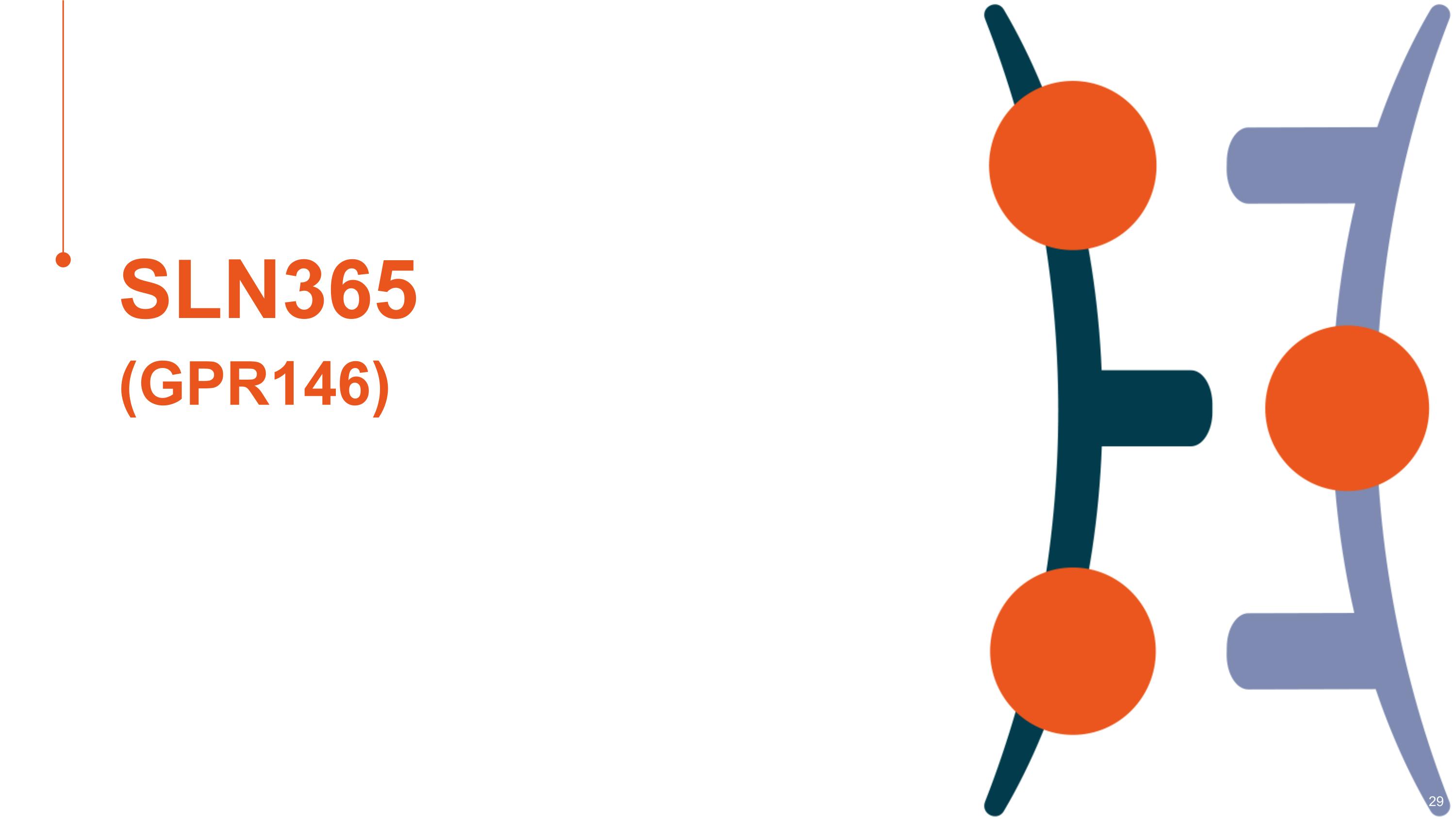 Slide 29
