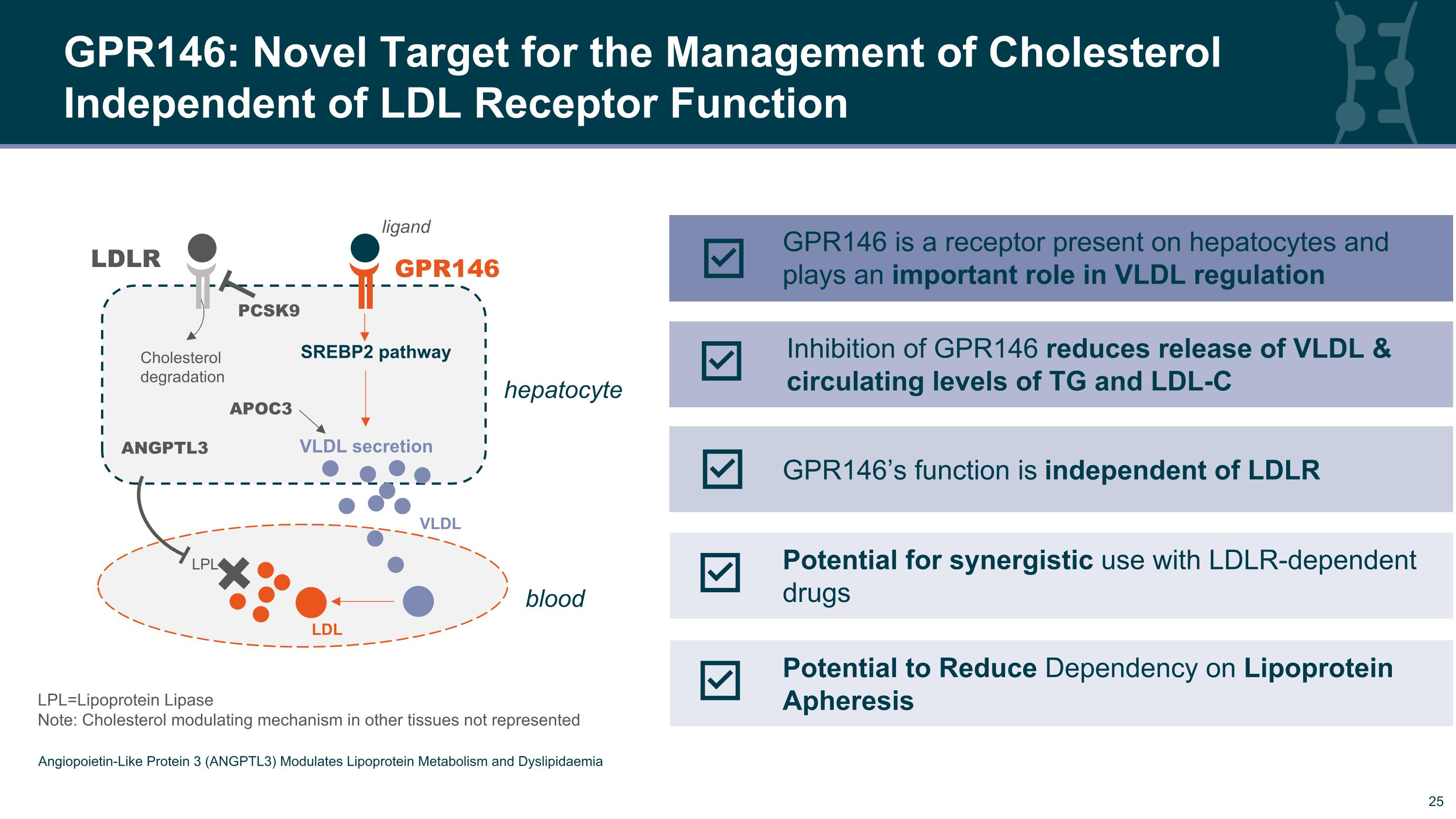 Slide 25
