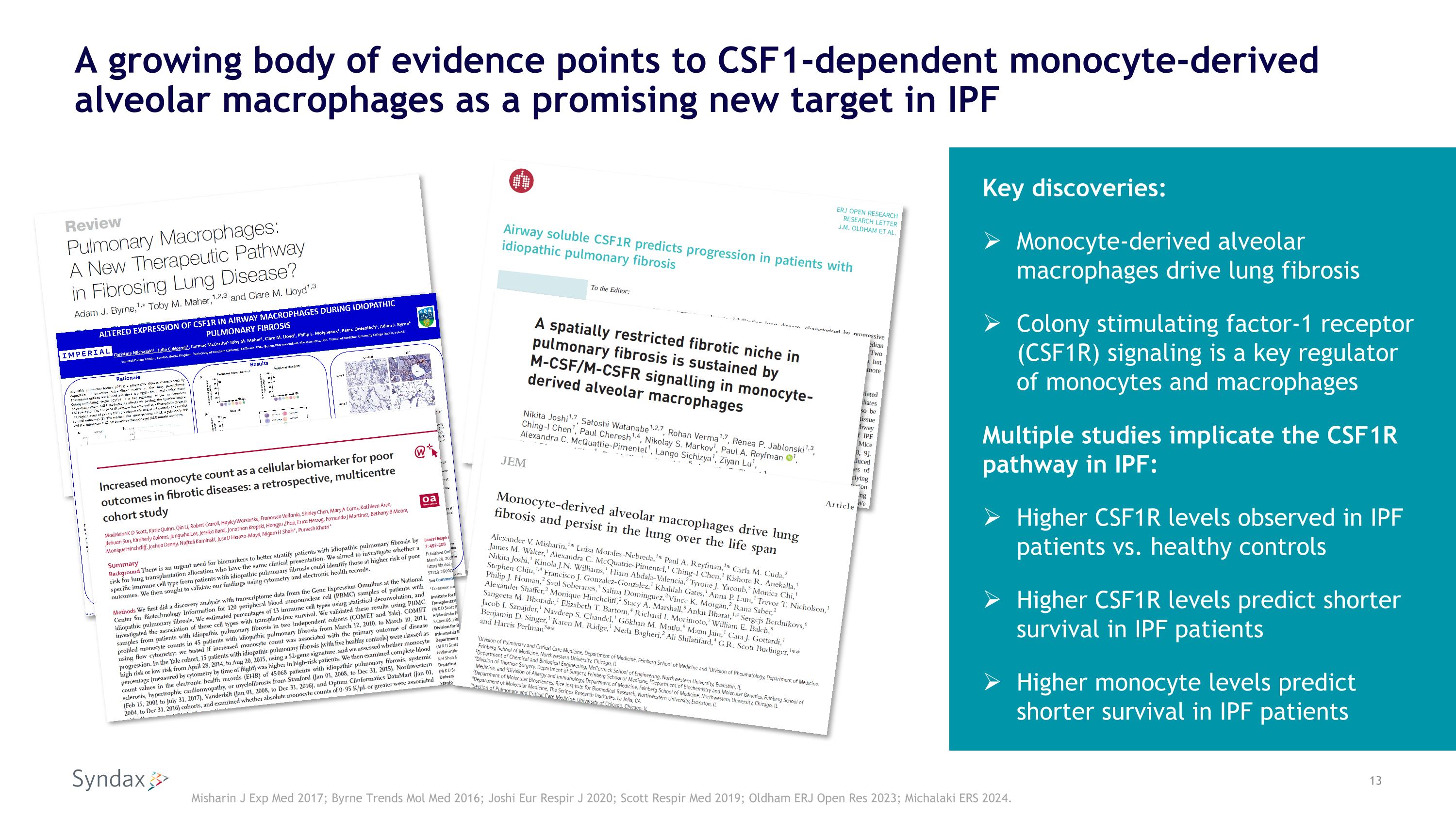 Slide 13