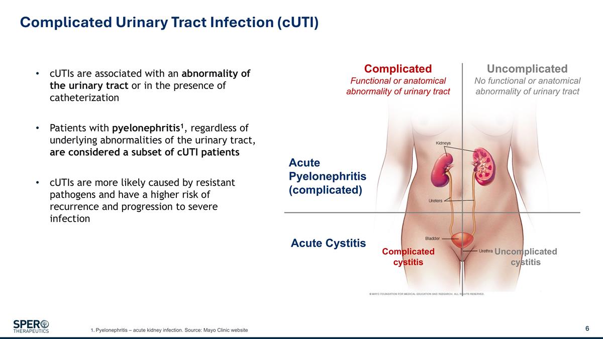 Slide 6