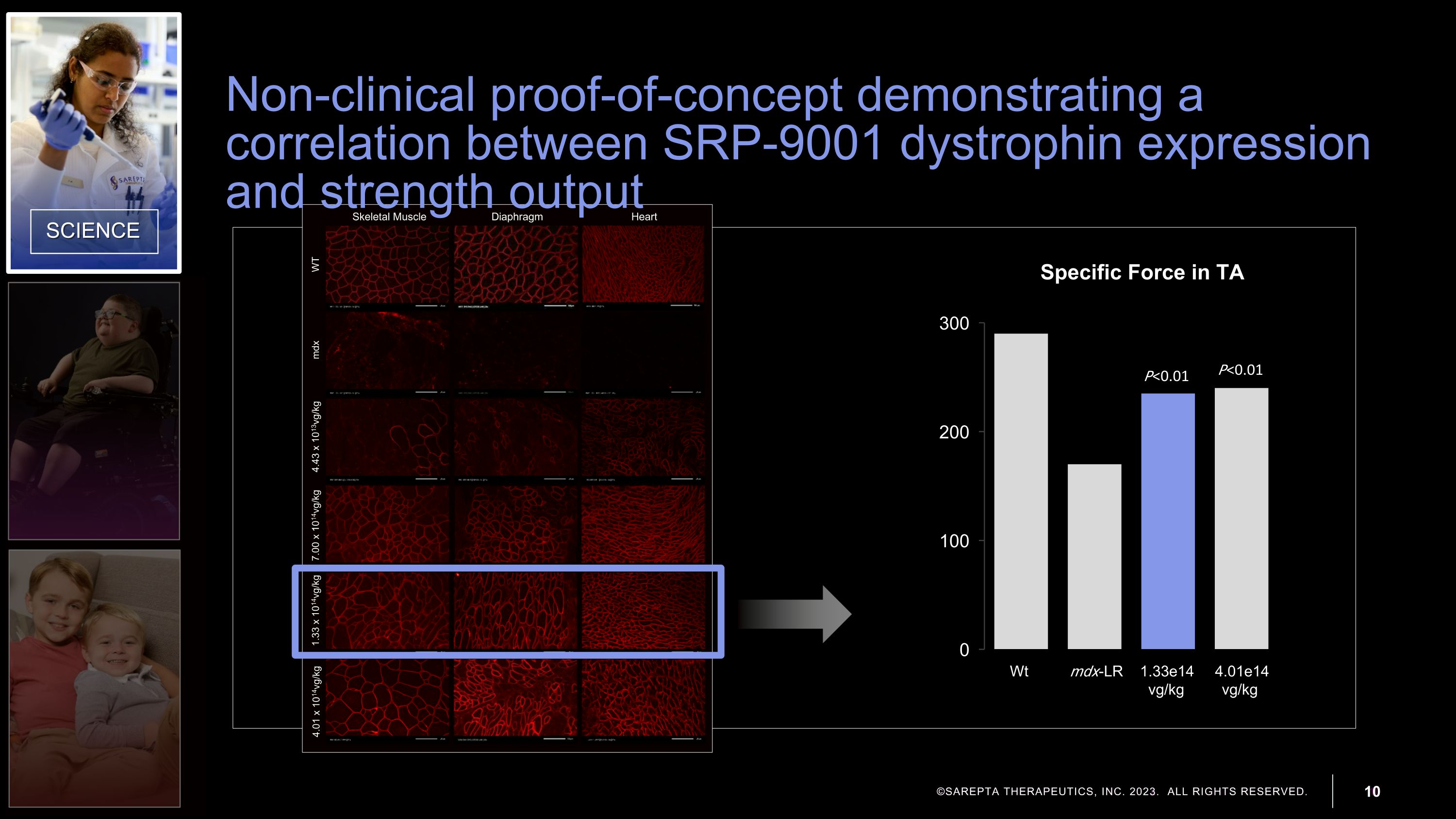 Slide 10