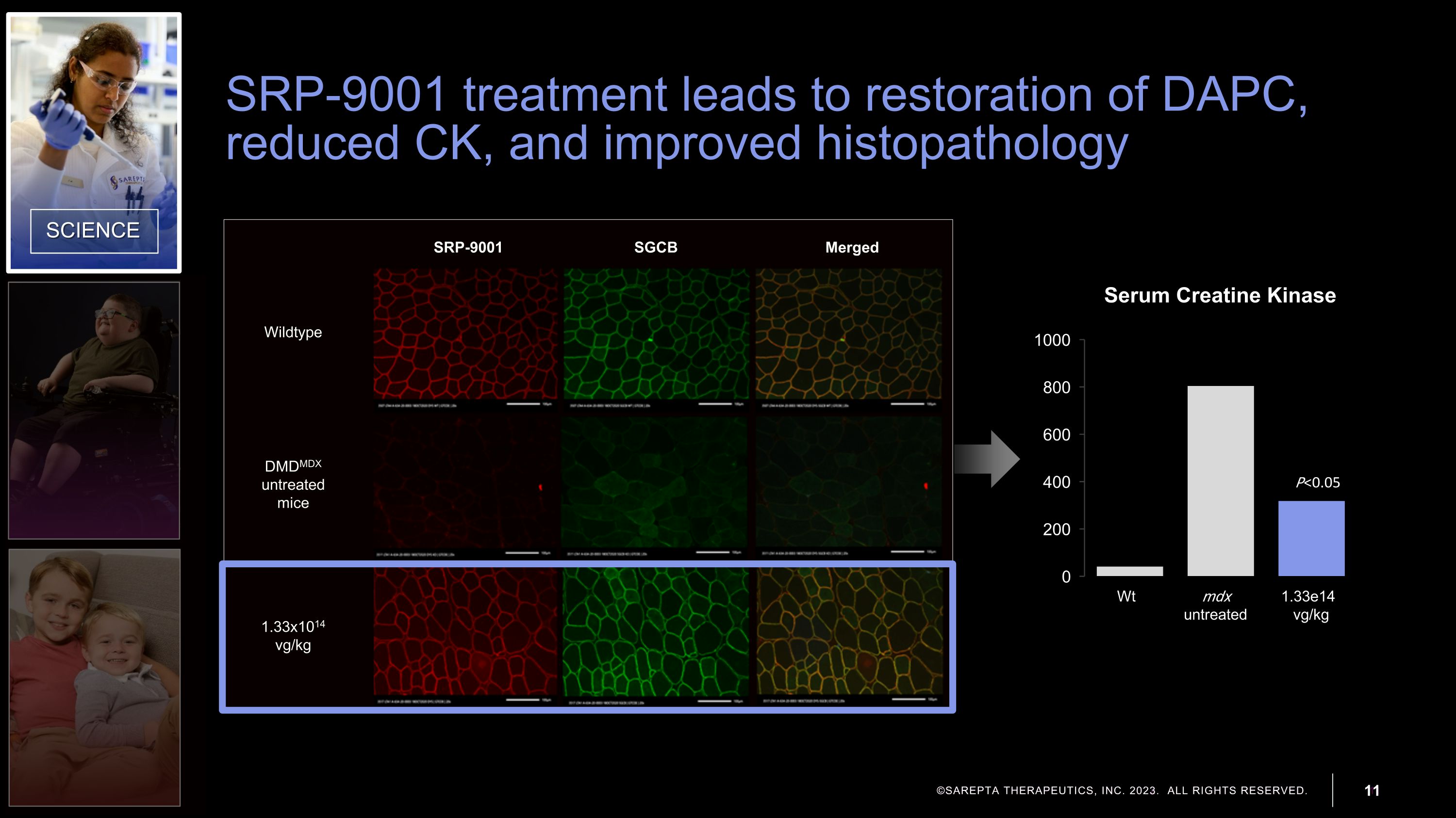 Slide 11