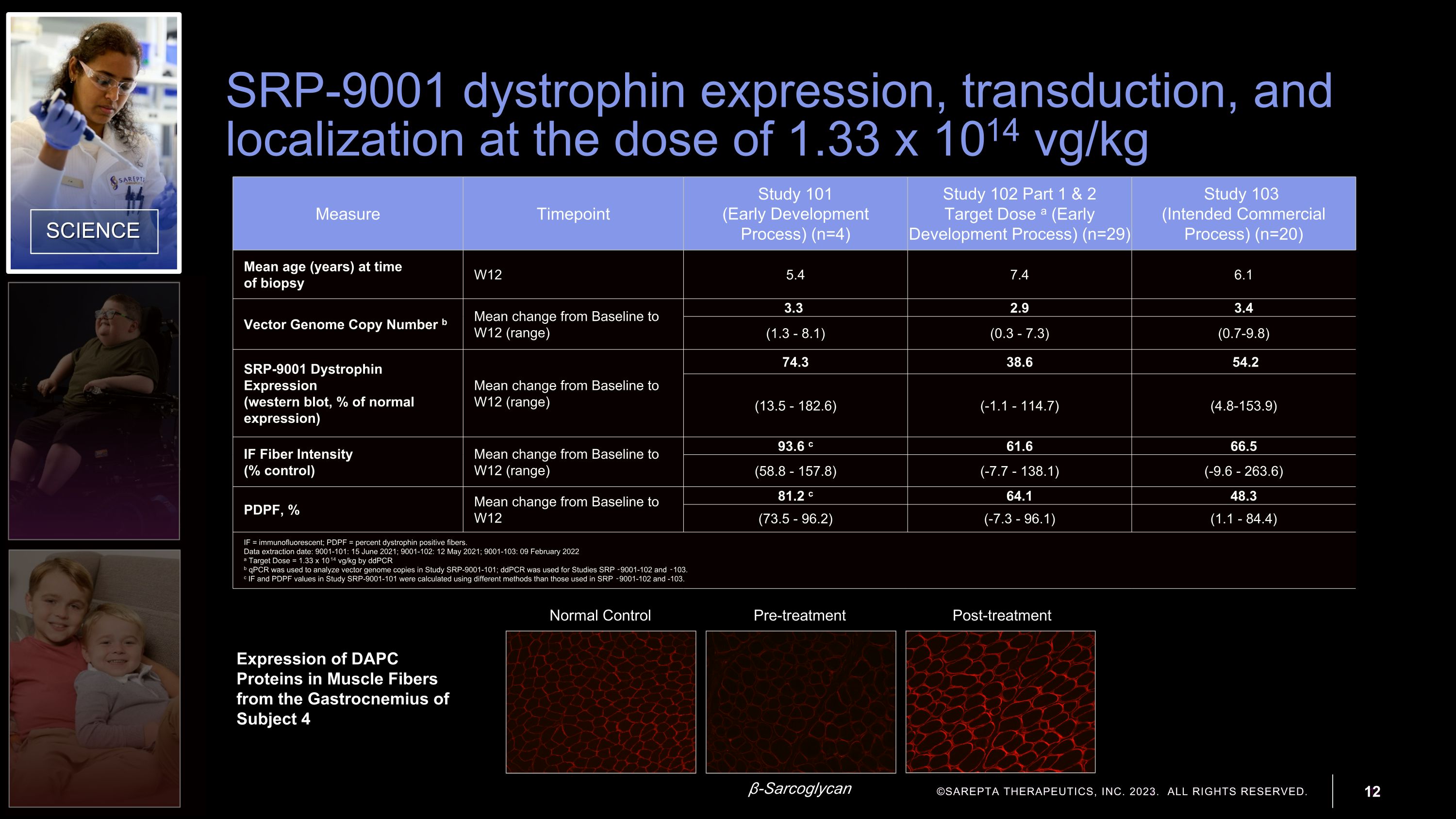 Slide 12