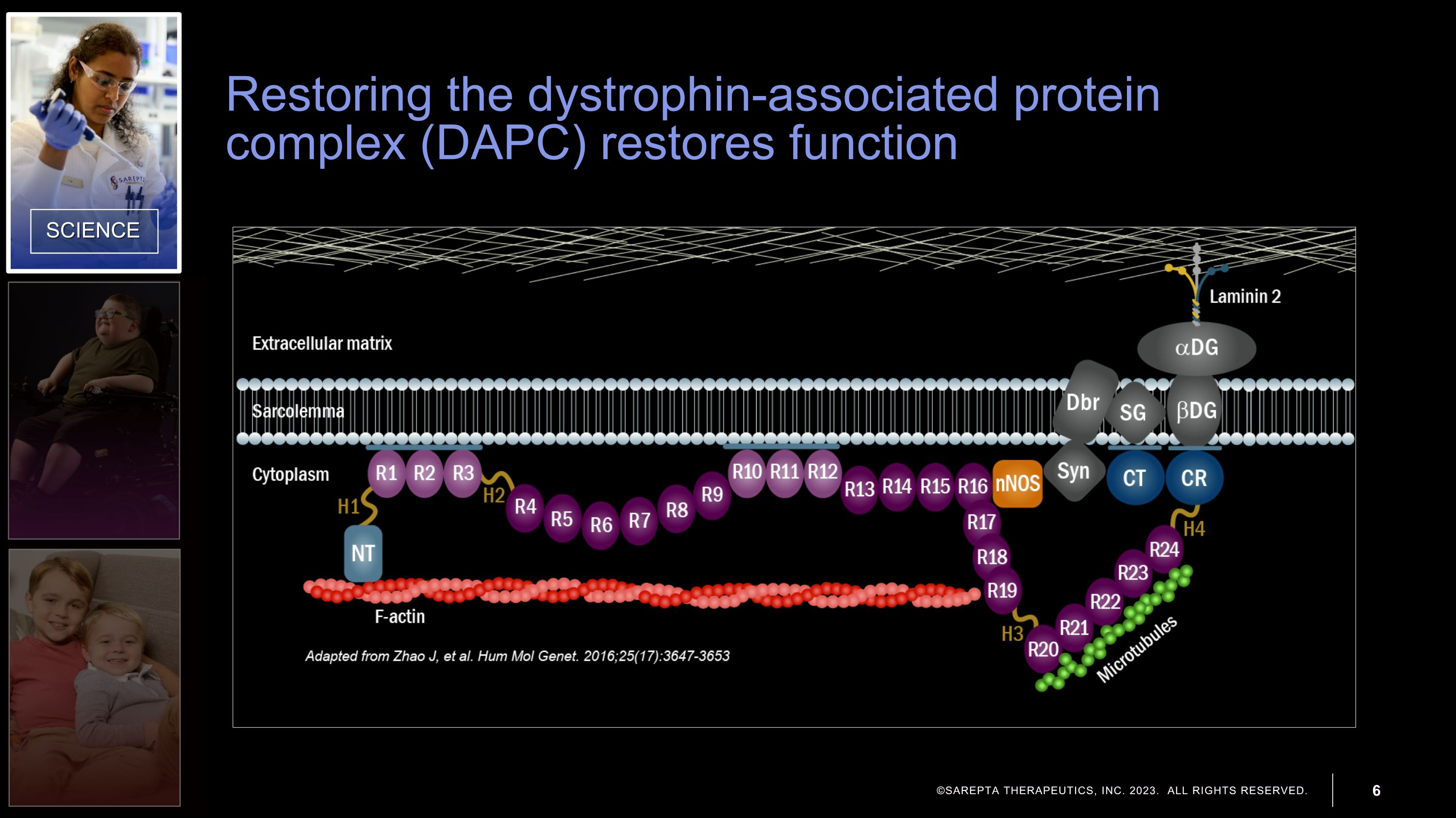 Slide 6