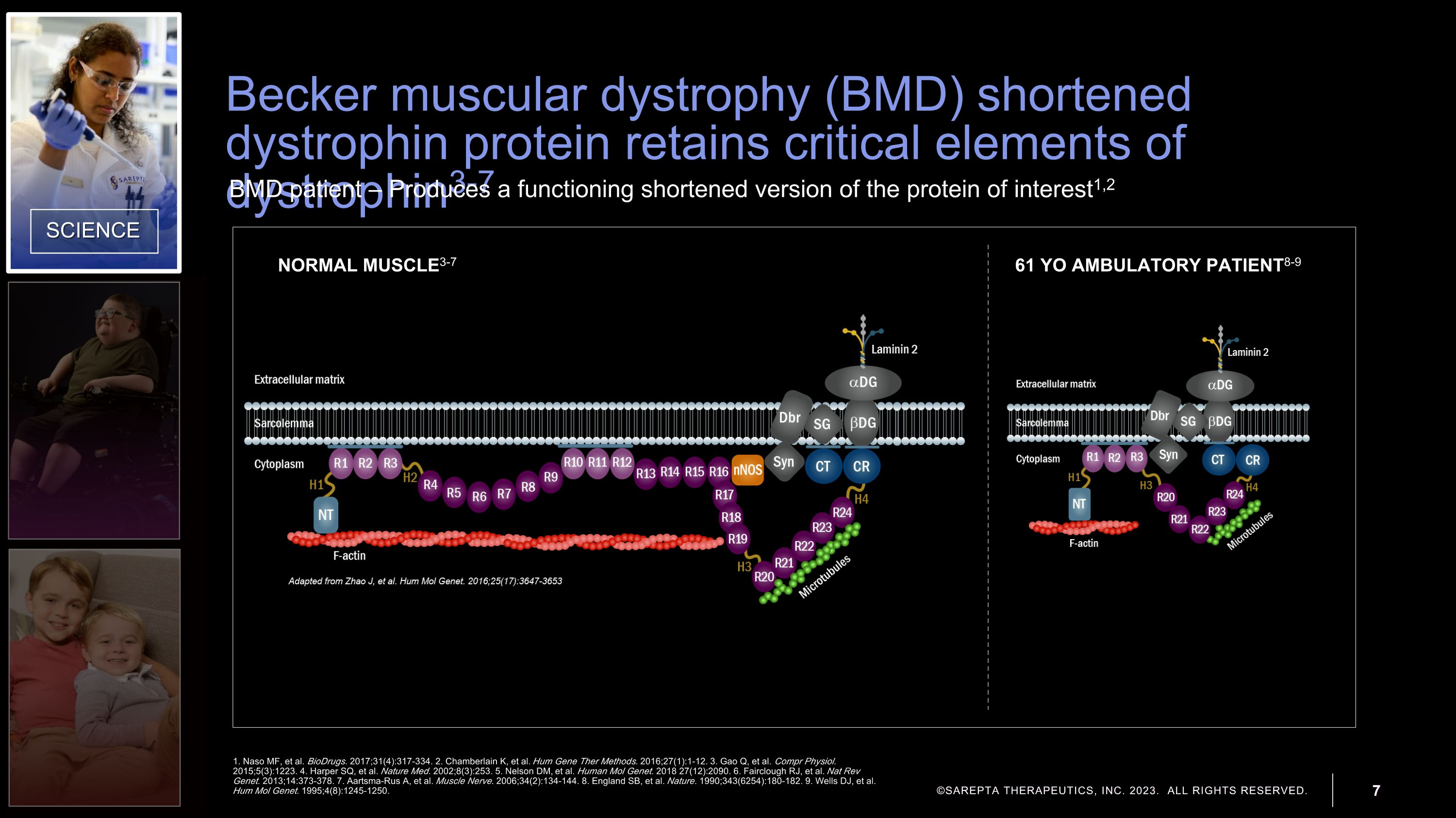 Slide 7