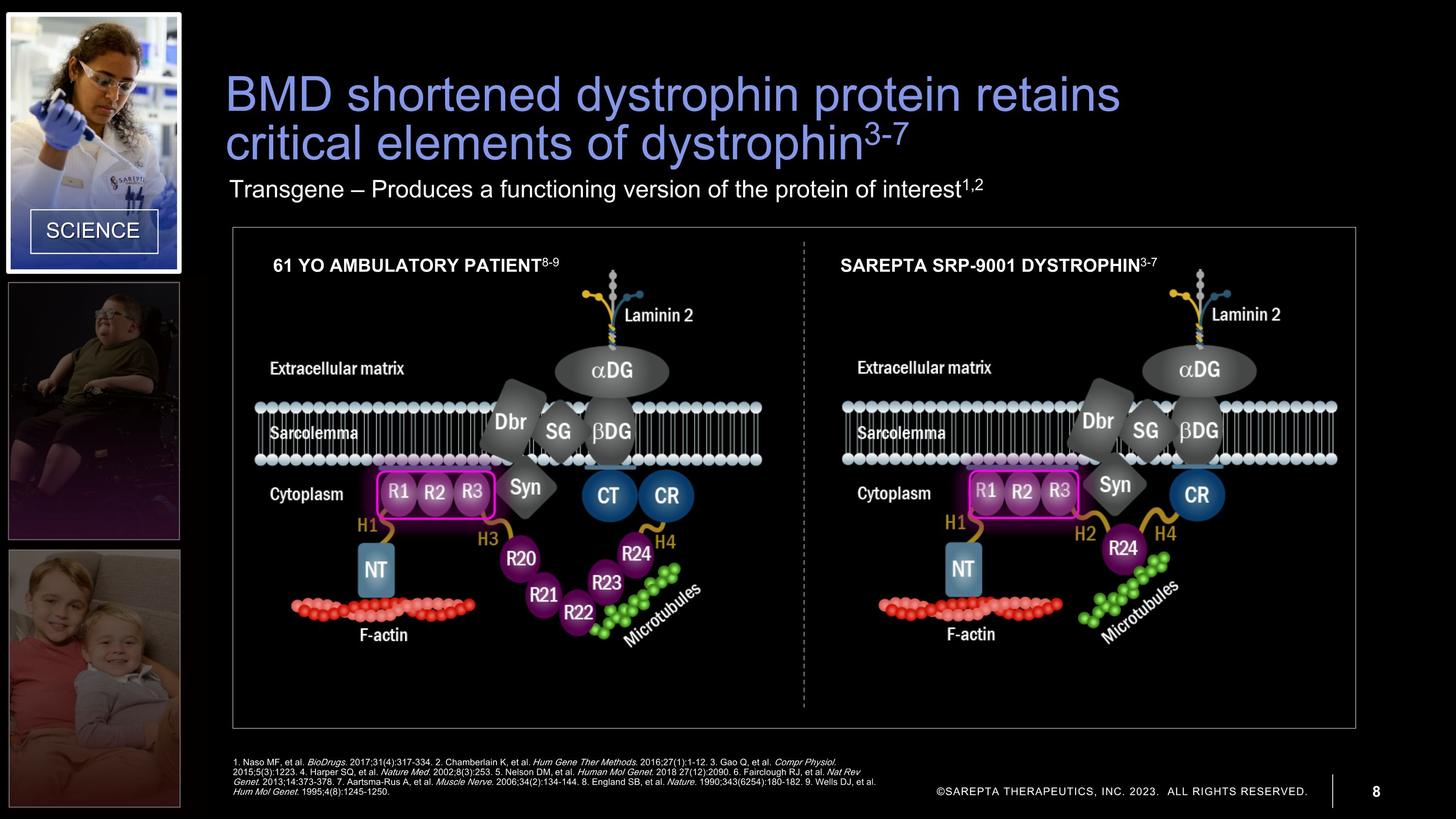 Slide 8