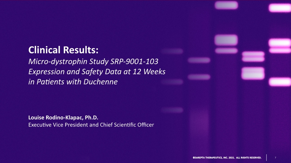 Slide 7