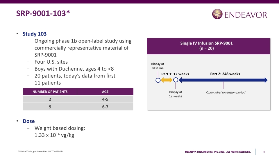 Slide 8