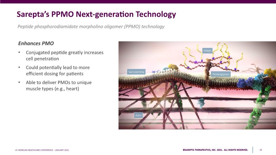 Slide 19