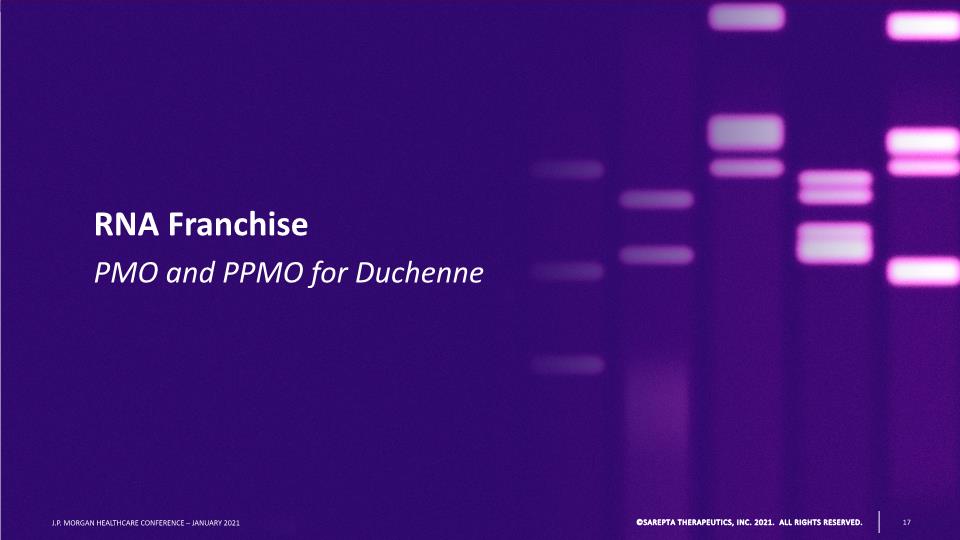 Slide 17
