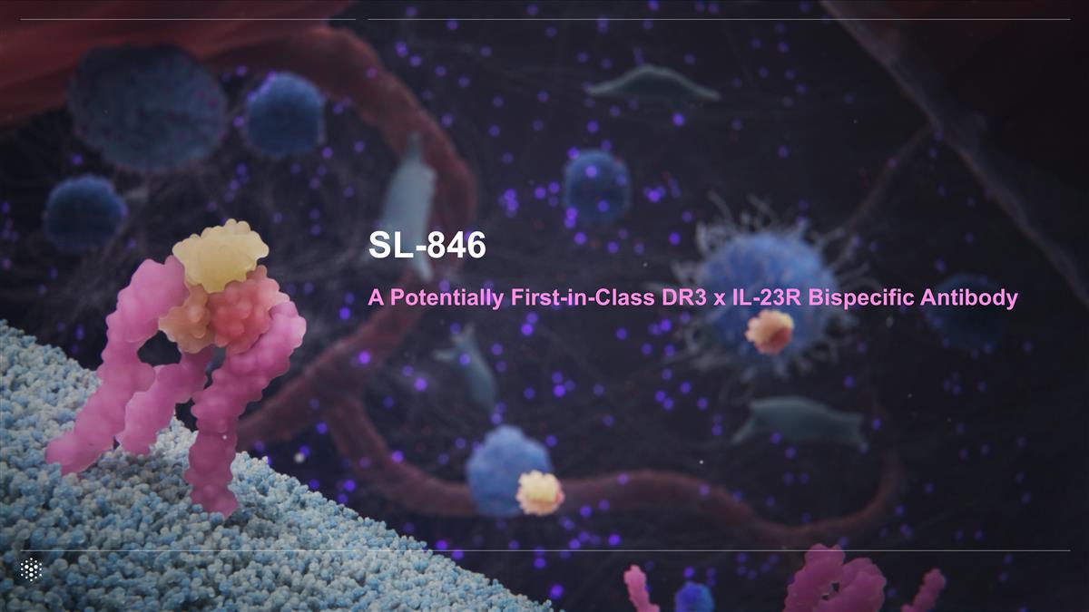 Slide 19