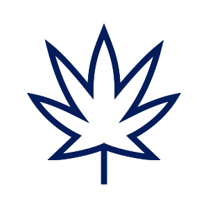 canopy1a.jpg