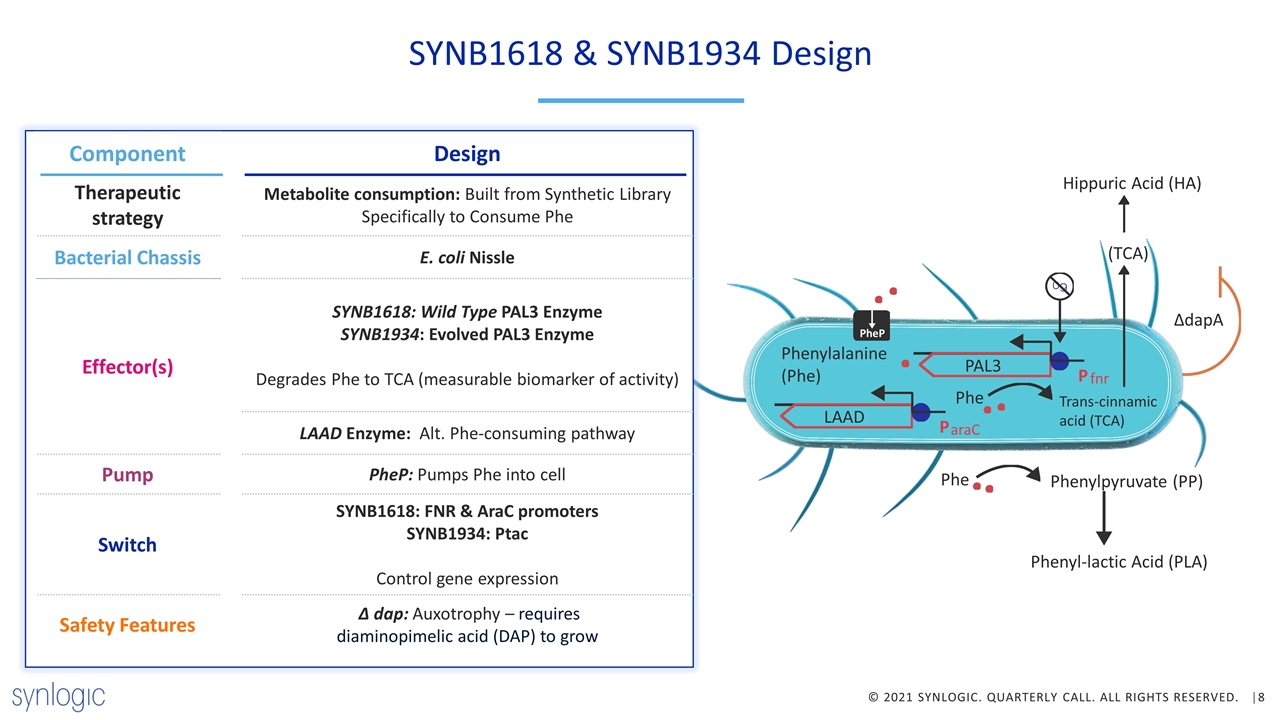 Slide 8