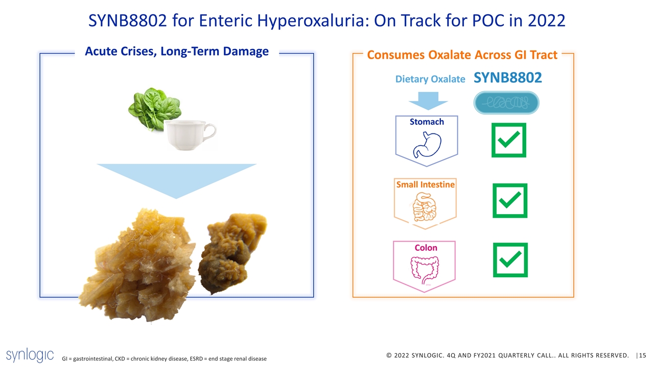 Slide 15