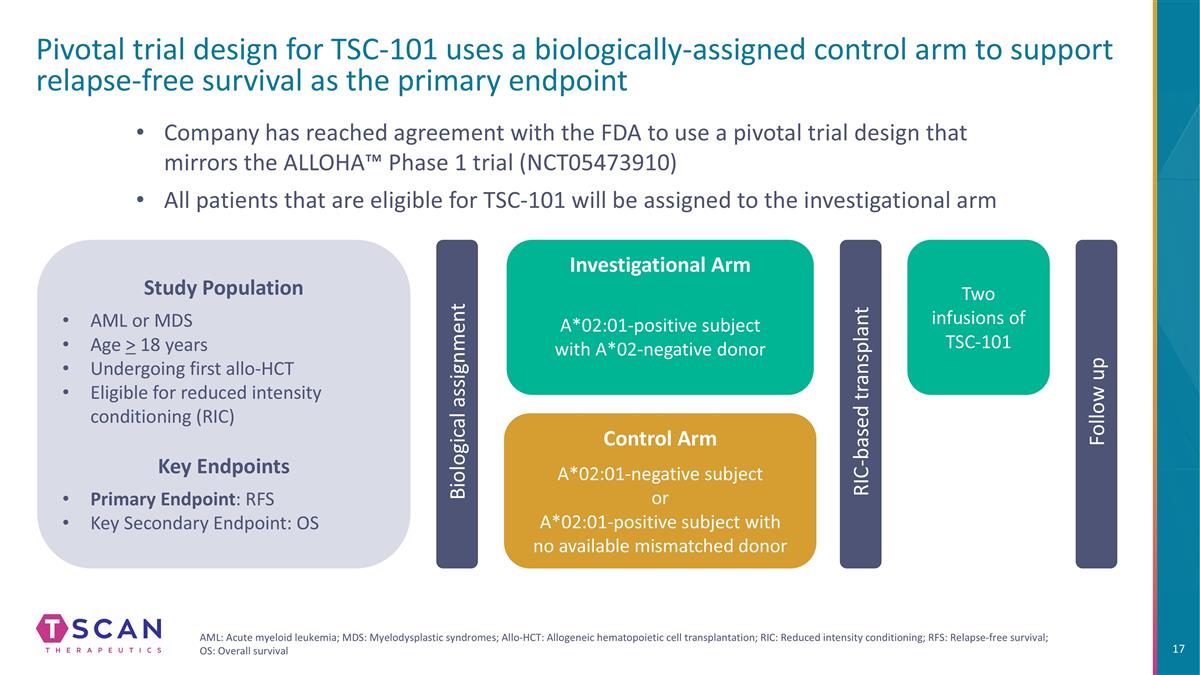 Slide 17