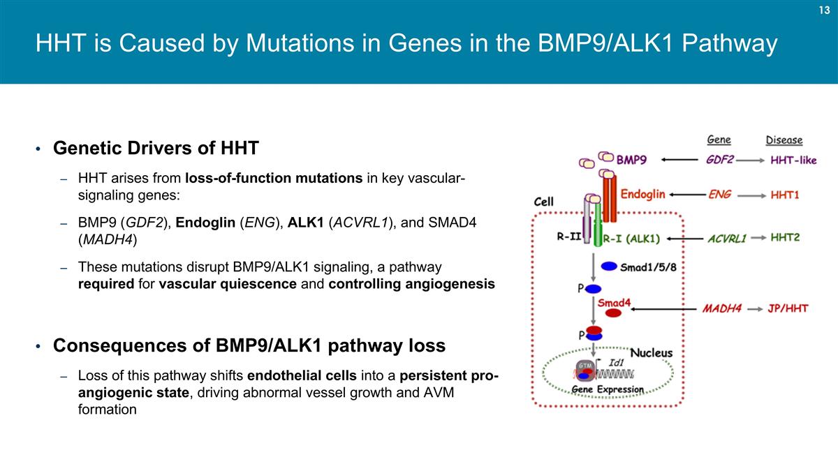 Slide 13