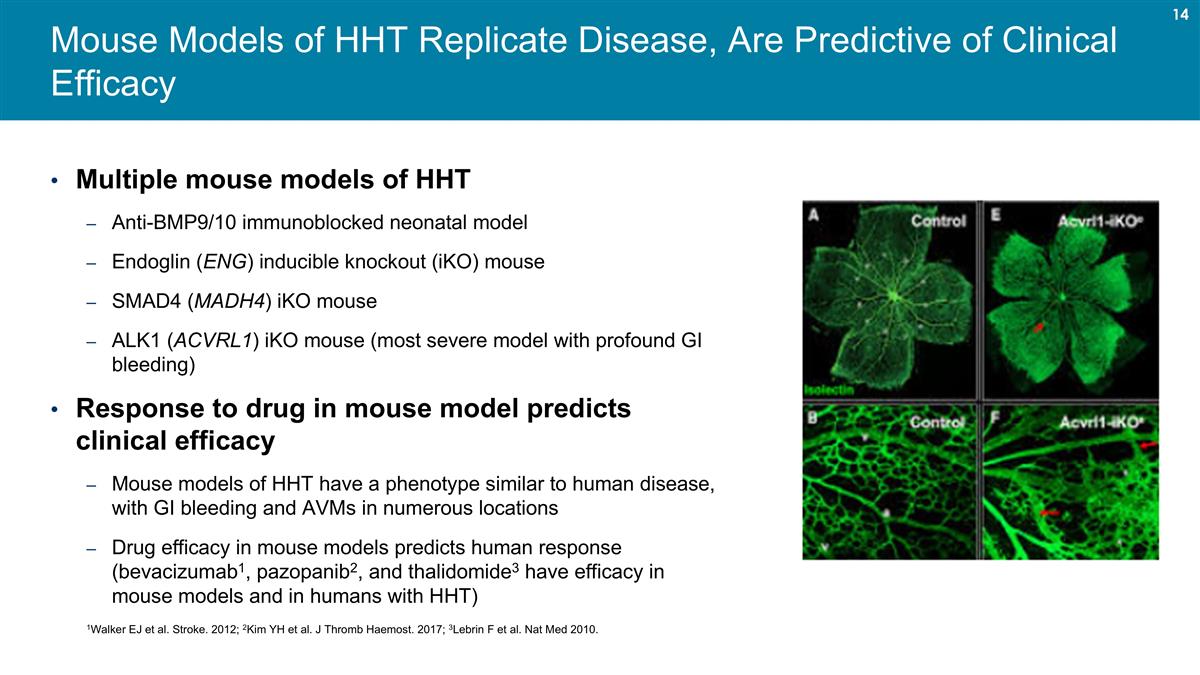 Slide 14