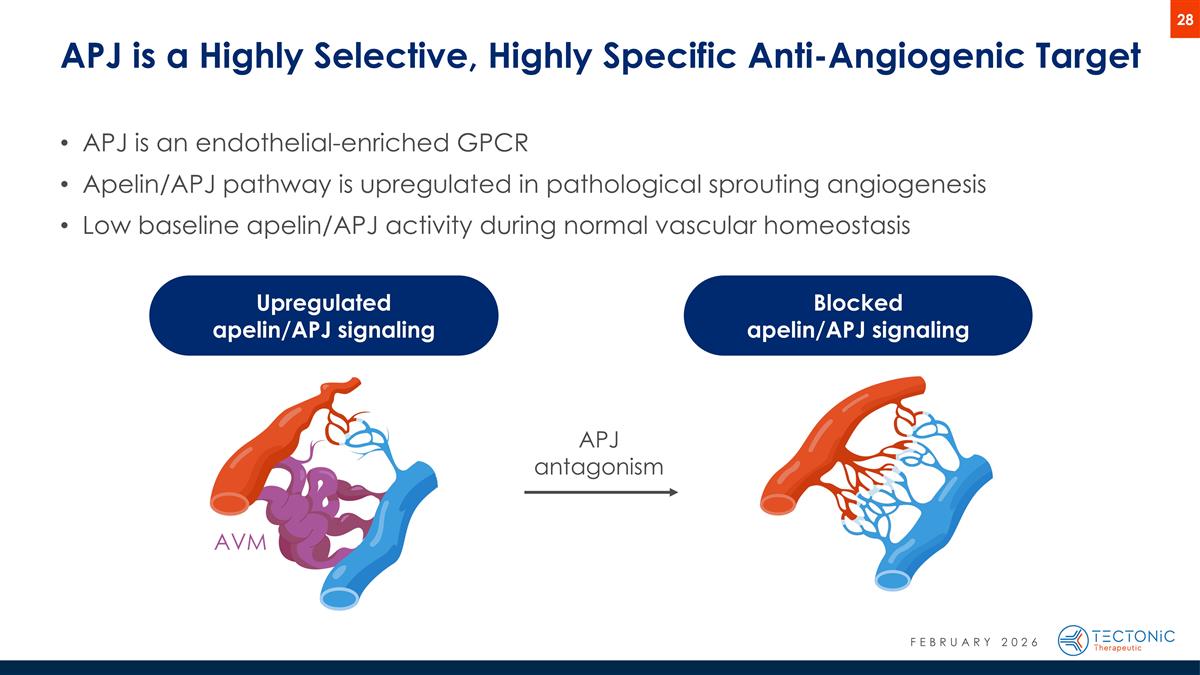 Slide 28