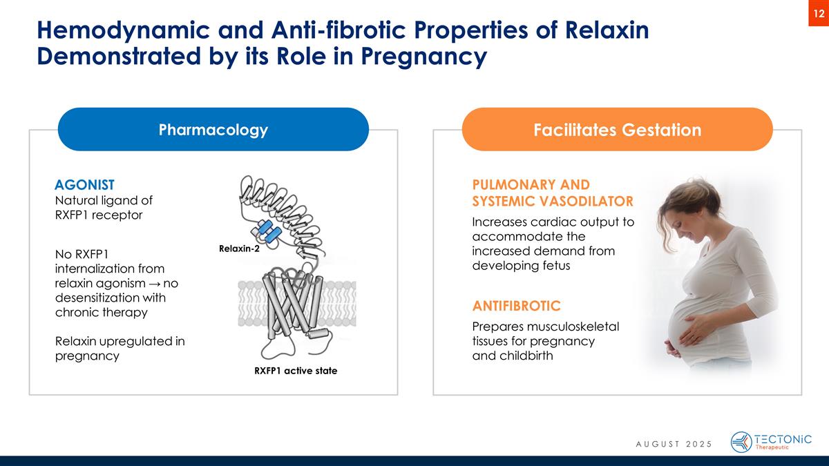 Slide 12