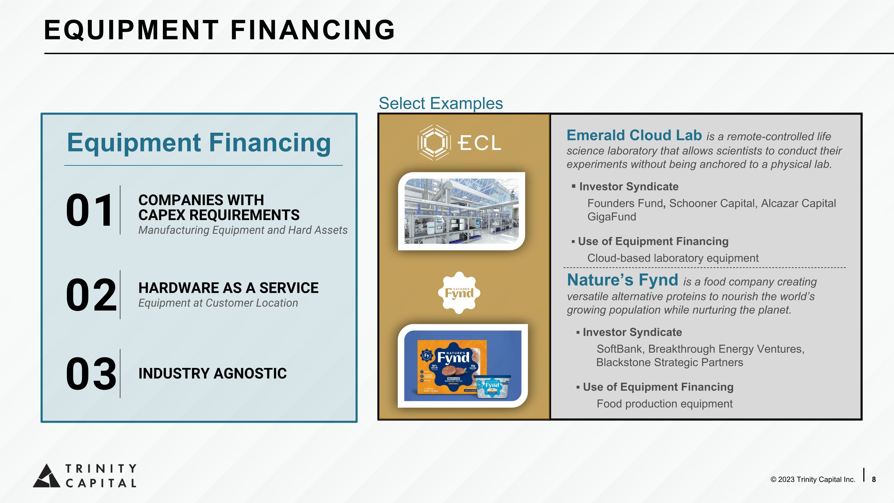 Slide 8