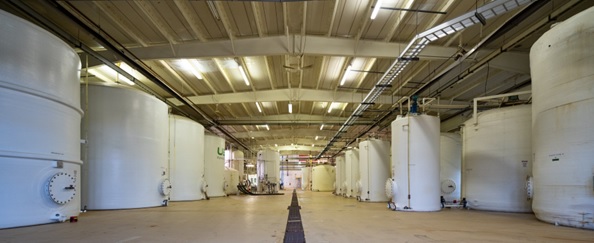pic3.jpg
