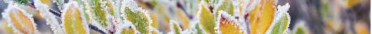 bottomleft922.jpg