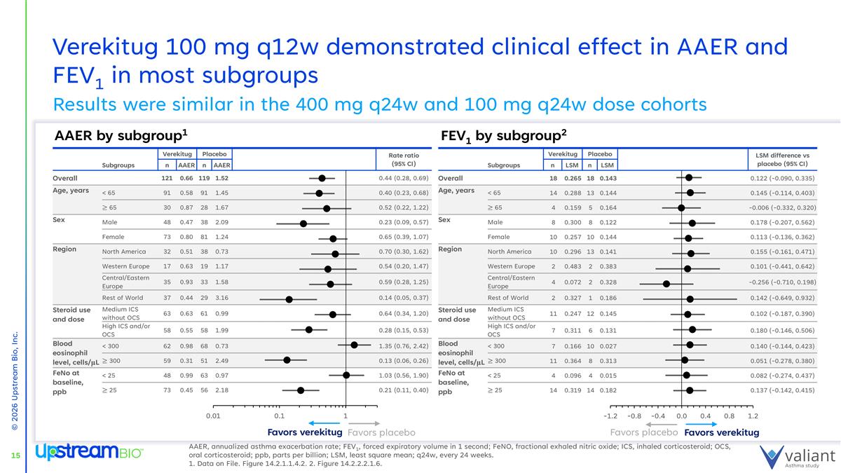 Slide 15
