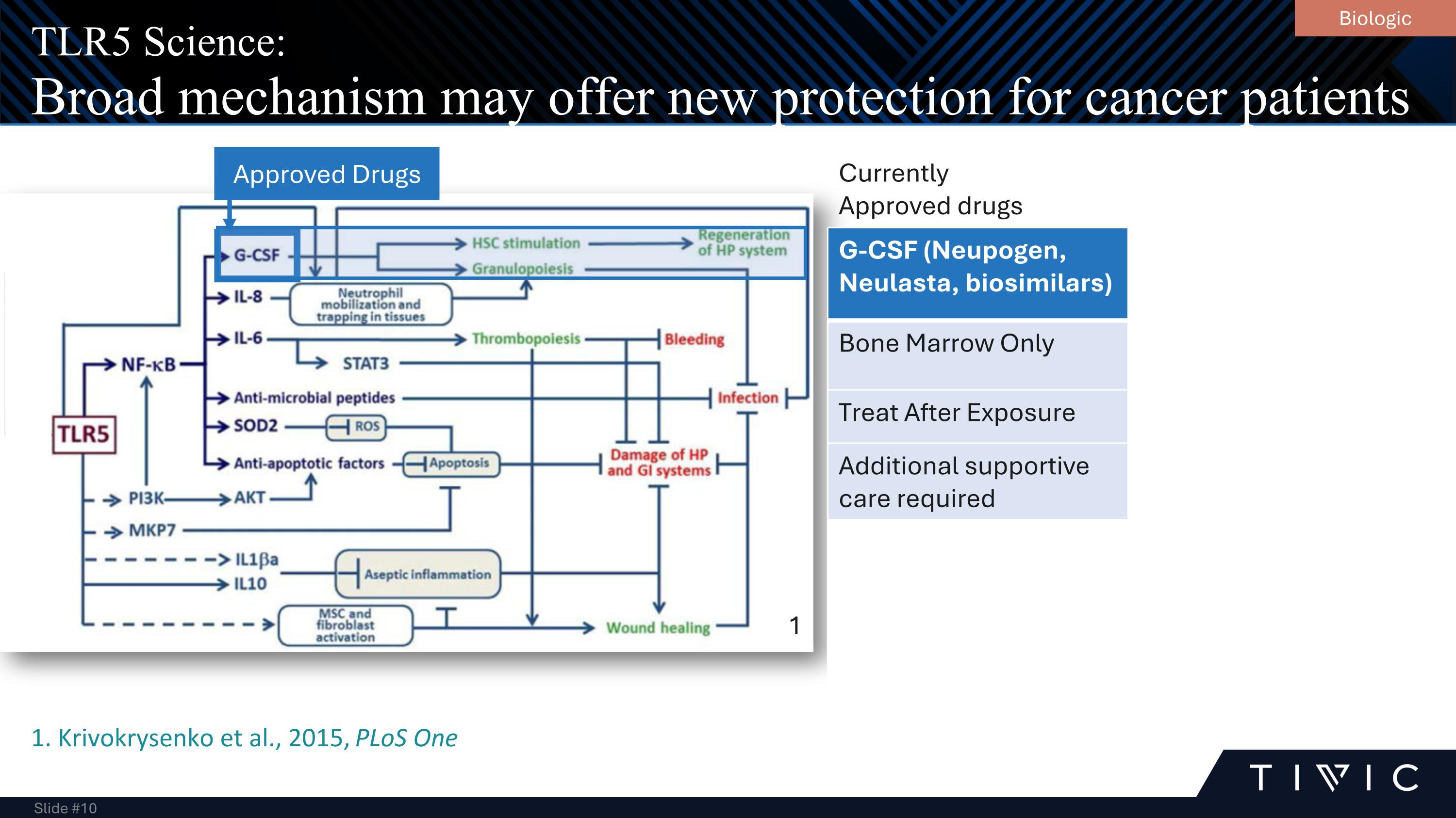 Slide 10
