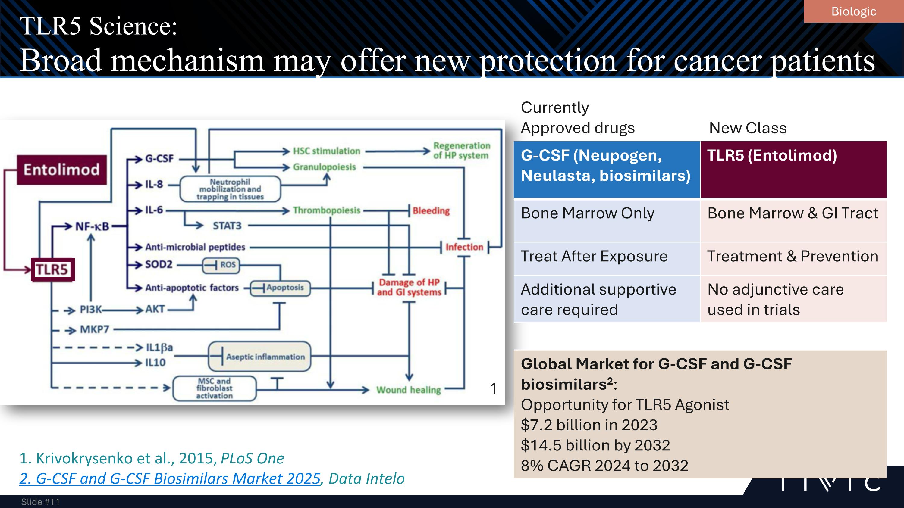 Slide 11