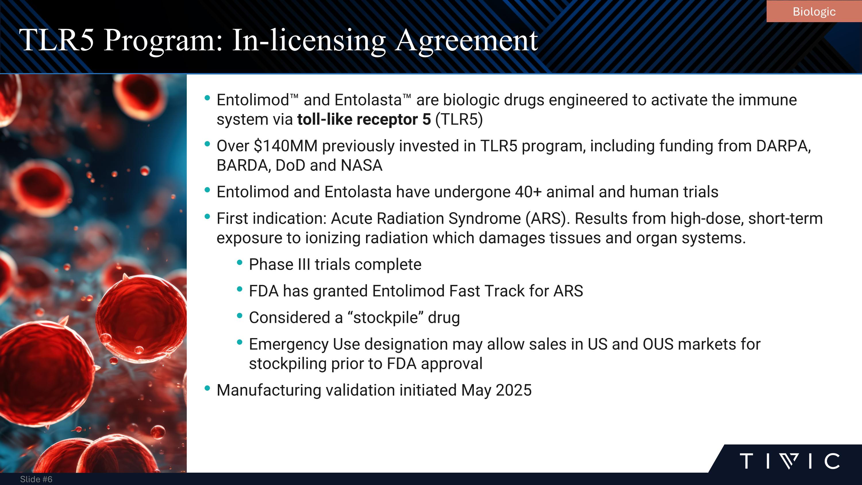 Slide 6
