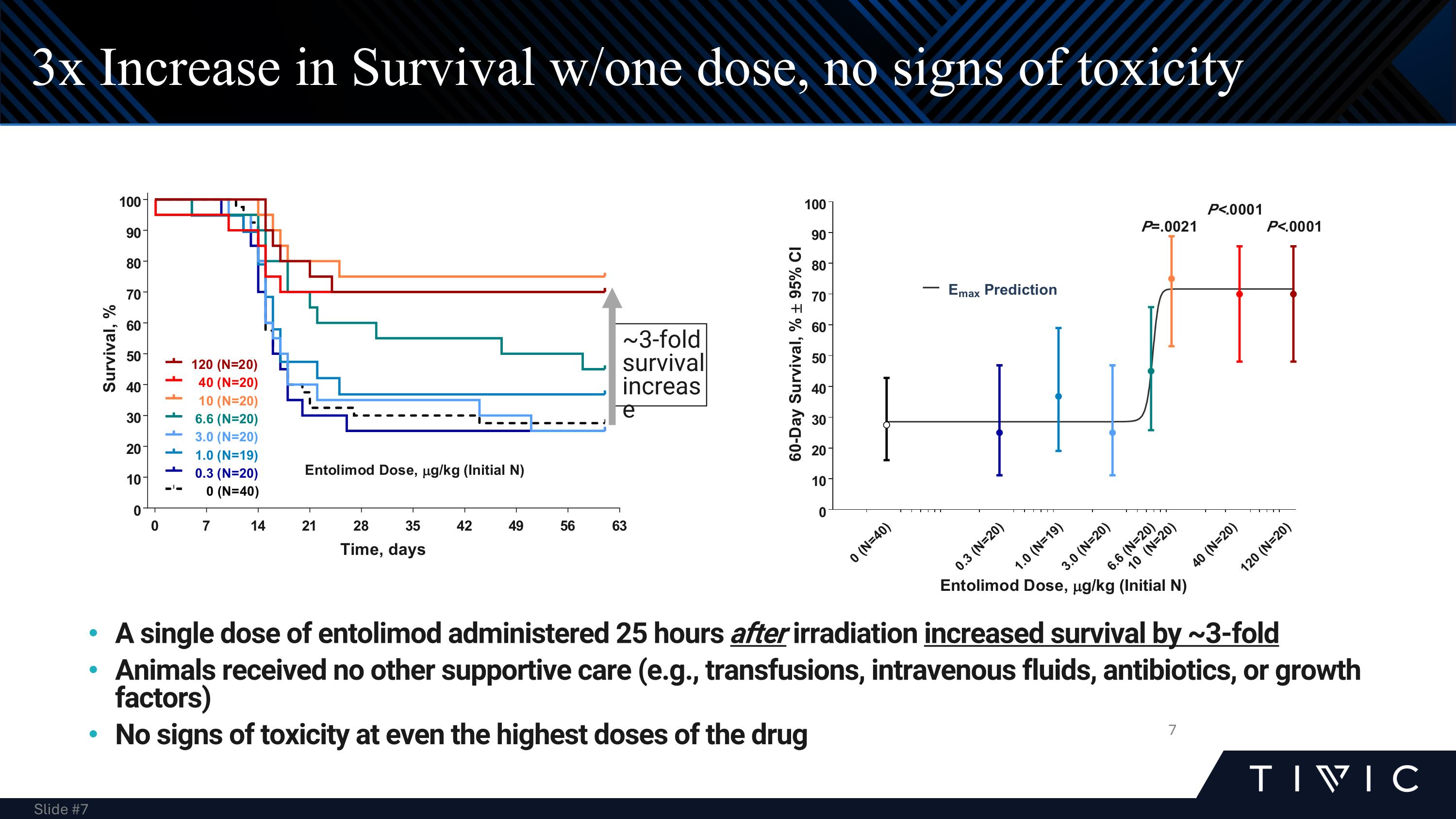 Slide 7