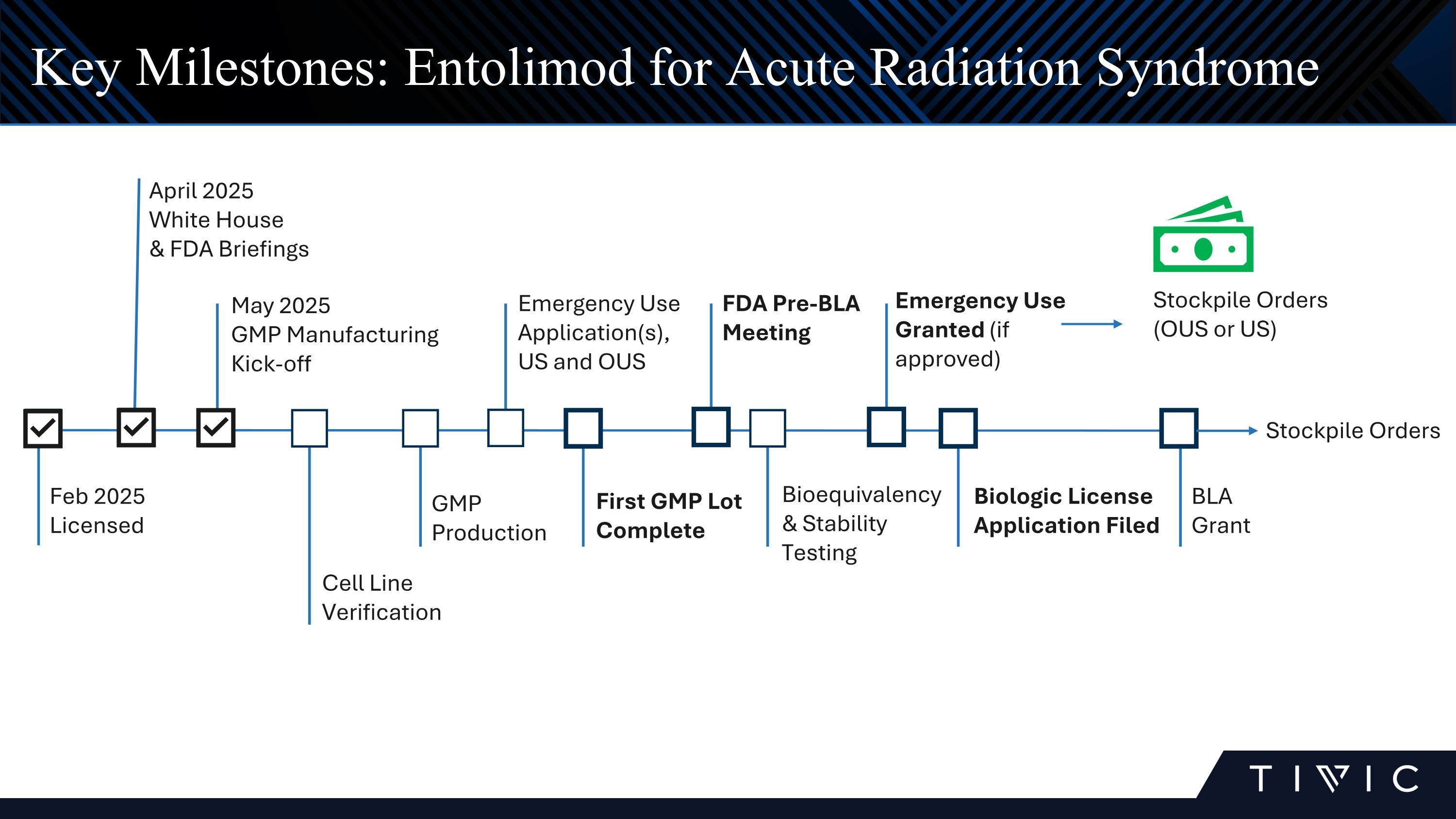 Slide 8