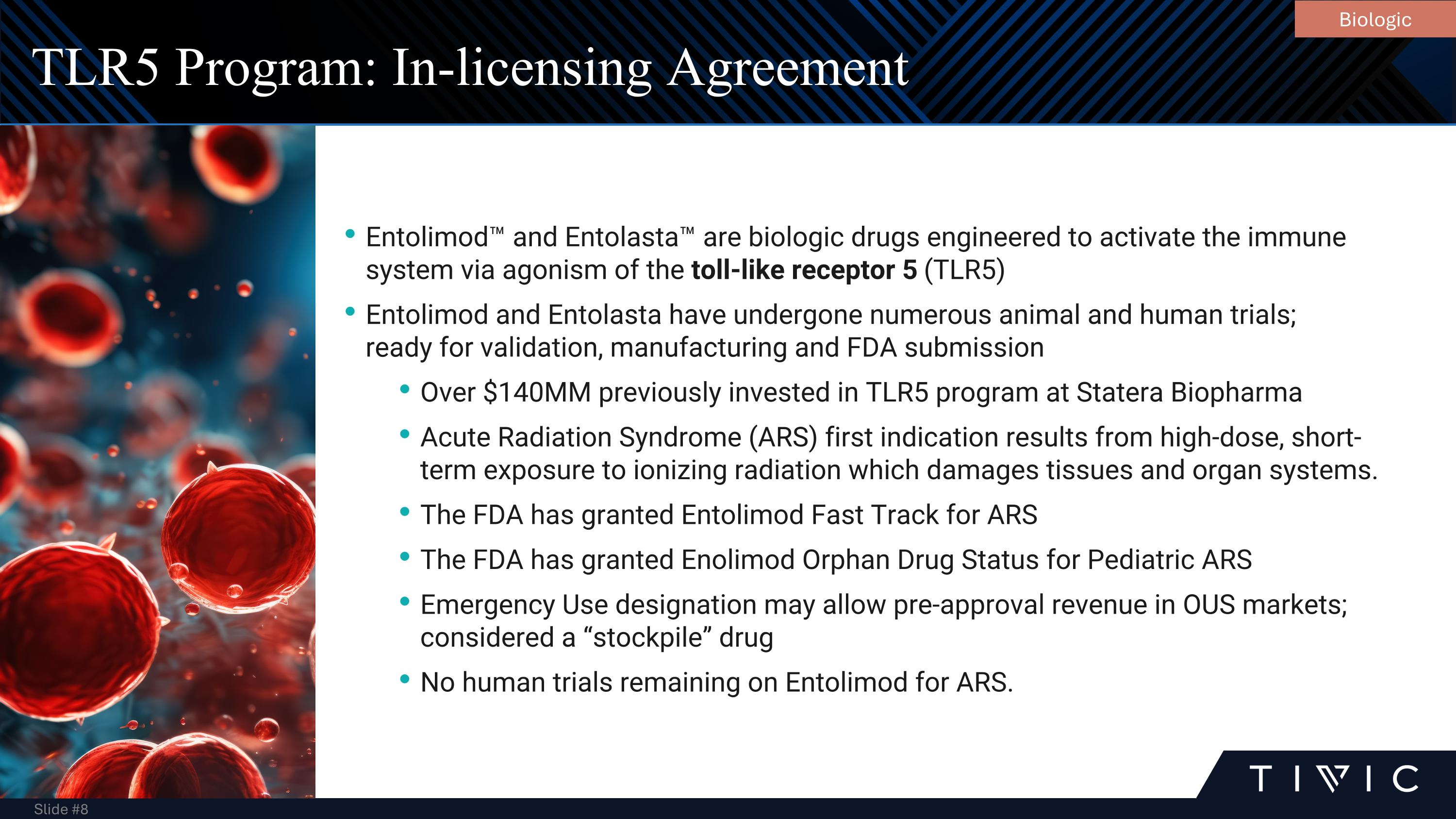 Slide 8