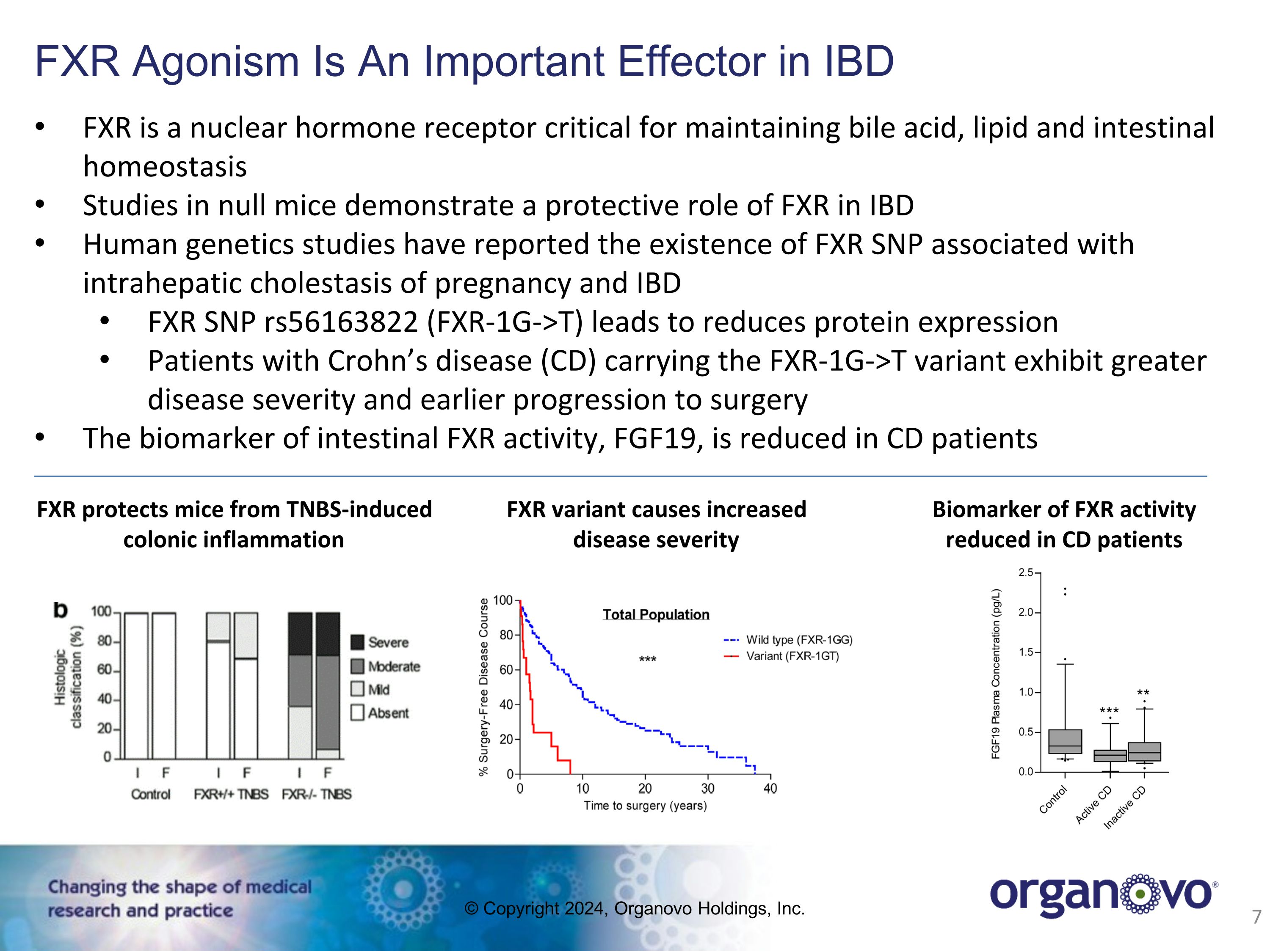 Slide 7