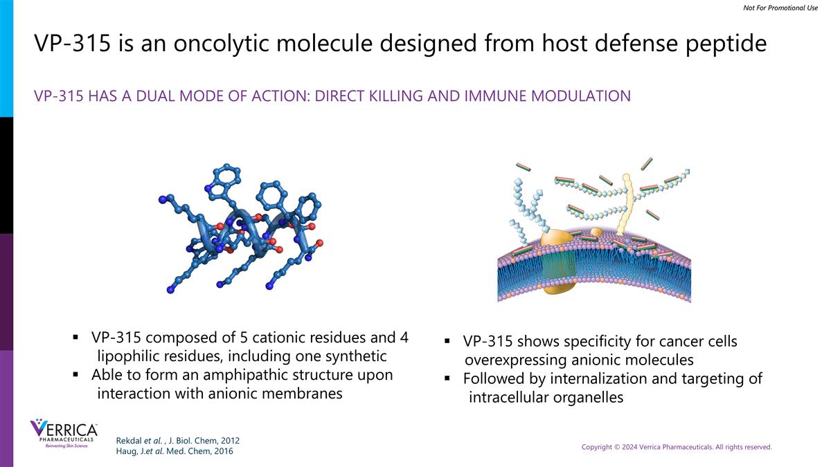 Slide 16
