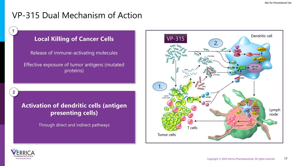 Slide 17