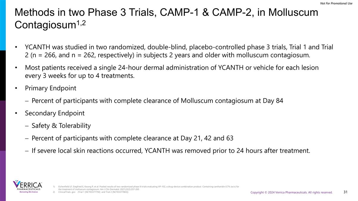 Slide 31