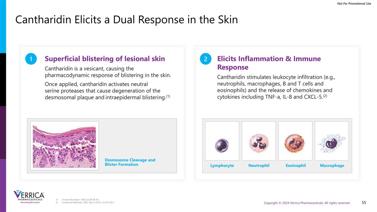 Slide 55