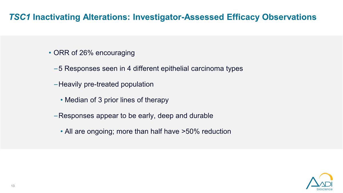 Slide 13