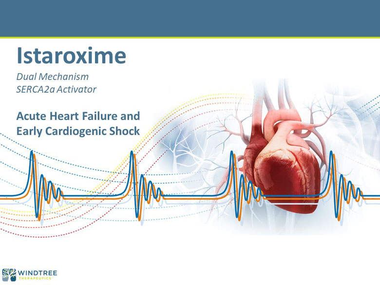 slide06.jpg