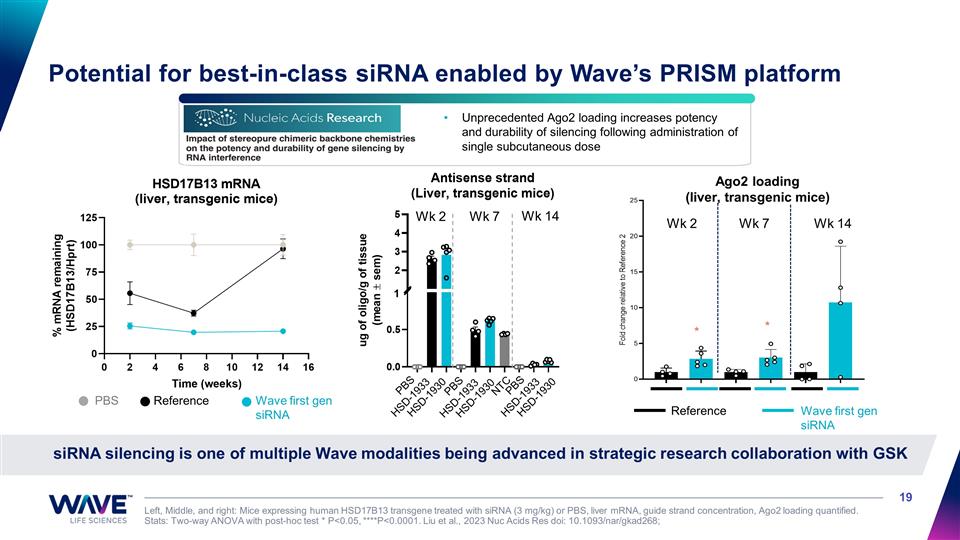 Slide 19
