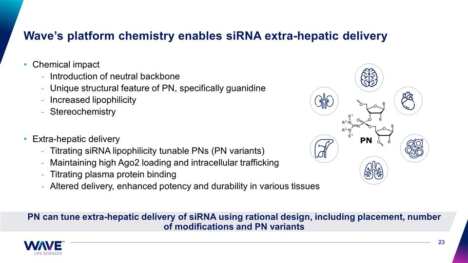 Slide 23