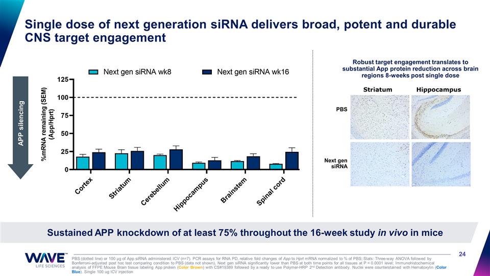 Slide 24
