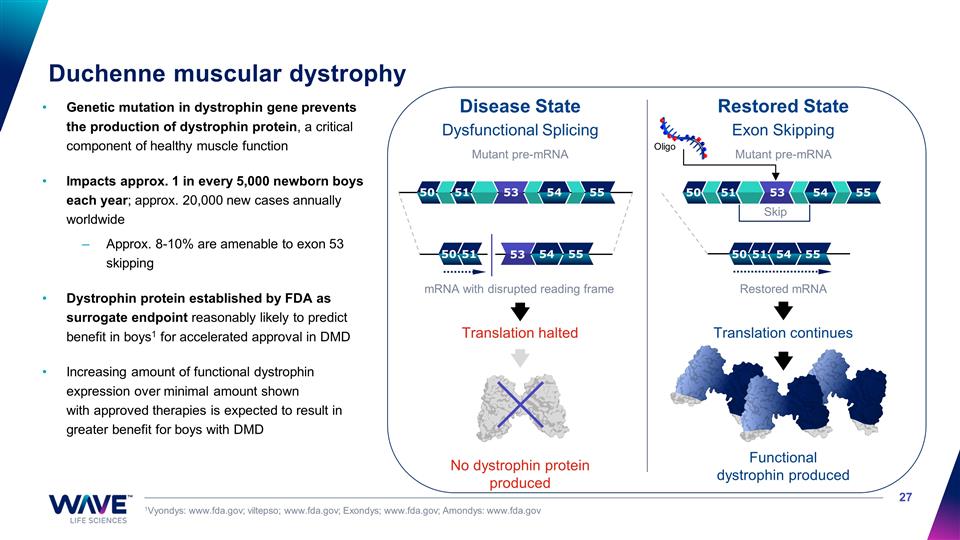Slide 27