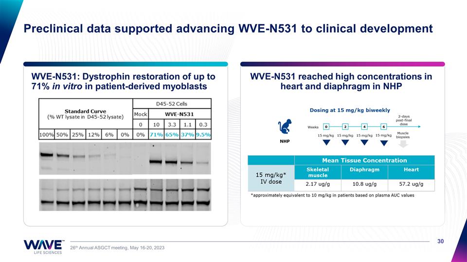 Slide 30