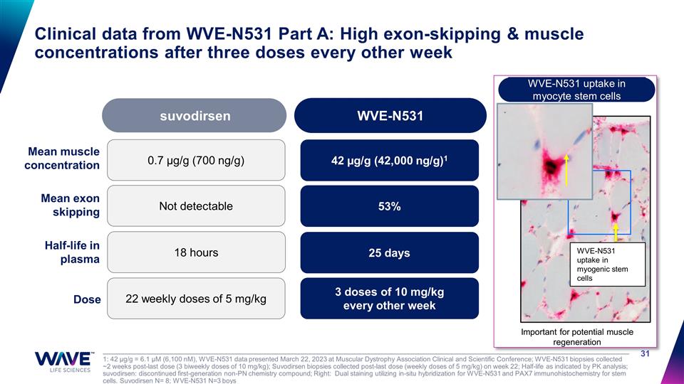 Slide 31