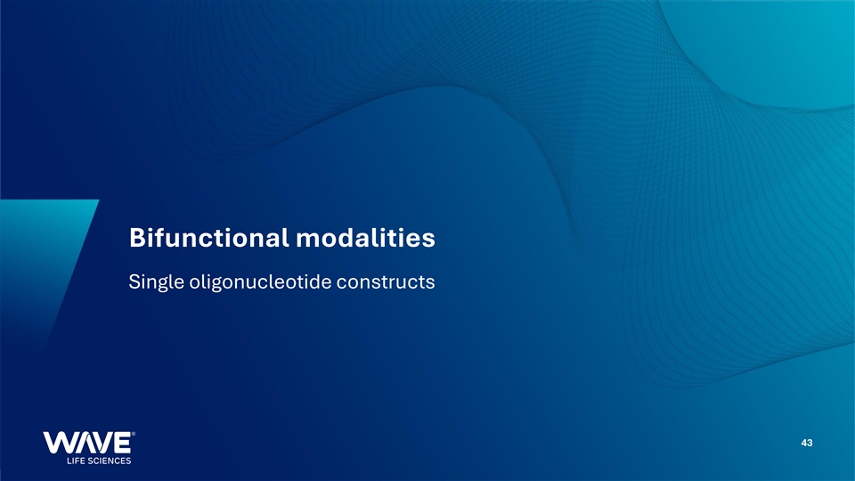 Slide 43 of 51