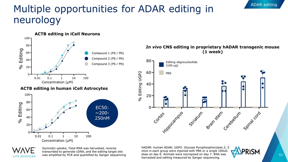 Slide 51