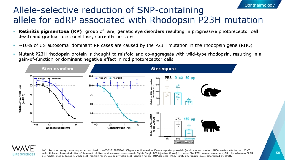 Slide 58